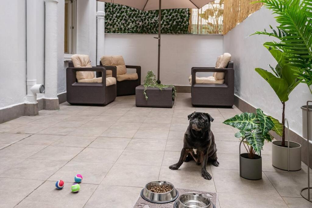 El Patio De Schulz Daire Gijón Dış mekan fotoğraf